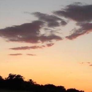 年资料,年最新歌曲,年MV视频,年音乐专辑,年好听的歌