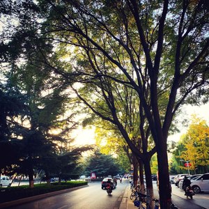 马儿不吃草资料,马儿不吃草最新歌曲,马儿不吃草MV视频,马儿不吃草音乐专辑,马儿不吃草好听的歌