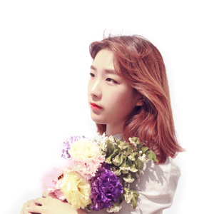Dalchong (달총)资料,Dalchong (달총)最新歌曲,Dalchong (달총)MV视频,Dalchong (달총)音乐专辑,Dalchong (달총)好听的歌