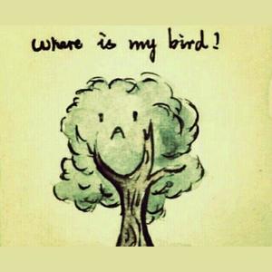 K kure资料,K kure最新歌曲,K kureMV视频,K kure音乐专辑,K kure好听的歌