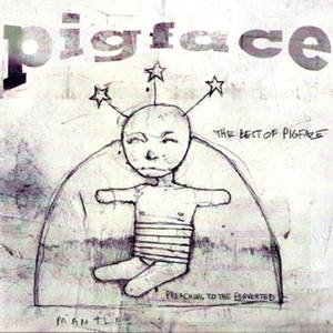 Pigface