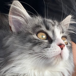 二爻啊资料,二爻啊最新歌曲,二爻啊MV视频,二爻啊音乐专辑,二爻啊好听的歌