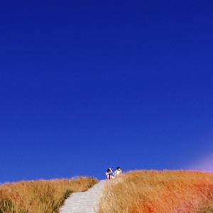 Honeywhip资料,Honeywhip最新歌曲,HoneywhipMV视频,Honeywhip音乐专辑,Honeywhip好听的歌