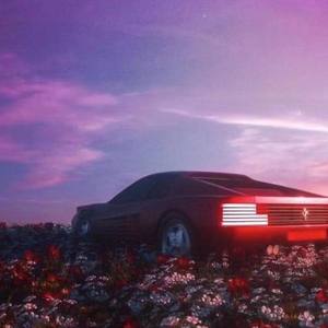 西芹十三