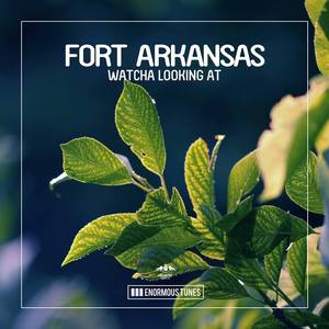 Fort Arkansas