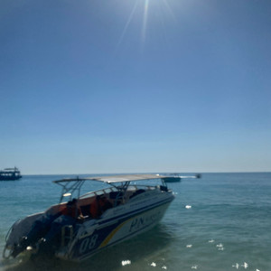 宫火火资料,宫火火最新歌曲,宫火火MV视频,宫火火音乐专辑,宫火火好听的歌