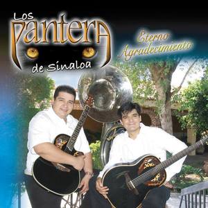 Los Pantera De Sinaloa