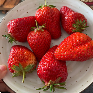 skullpai资料,skullpai最新歌曲,skullpaiMV视频,skullpai音乐专辑,skullpai好听的歌