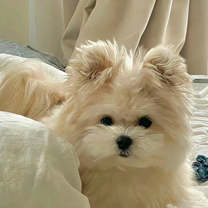 BEIYU资料,BEIYU最新歌曲,BEIYUMV视频,BEIYU音乐专辑,BEIYU好听的歌