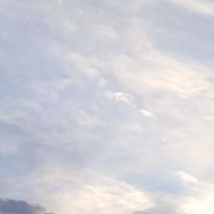 黑底金花资料,黑底金花最新歌曲,黑底金花MV视频,黑底金花音乐专辑,黑底金花好听的歌