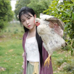 潘金莲vs西门庆