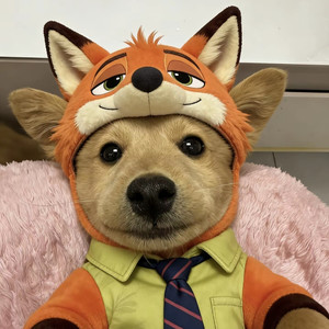 呆呆博资料,呆呆博最新歌曲,呆呆博MV视频,呆呆博音乐专辑,呆呆博好听的歌