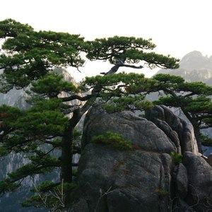 曾广建资料,曾广建最新歌曲,曾广建MV视频,曾广建音乐专辑,曾广建好听的歌