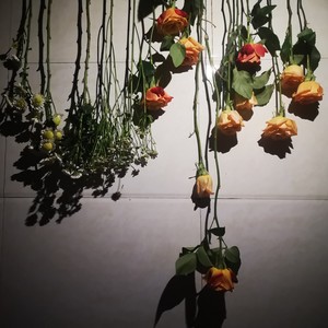 林雨欣资料,林雨欣最新歌曲,林雨欣MV视频,林雨欣音乐专辑,林雨欣好听的歌