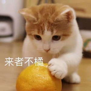 凉城MYeol资料,凉城MYeol最新歌曲,凉城MYeolMV视频,凉城MYeol音乐专辑,凉城MYeol好听的歌