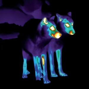 Crazyboi镇定剂资料,Crazyboi镇定剂最新歌曲,Crazyboi镇定剂MV视频,Crazyboi镇定剂音乐专辑,Crazyboi镇定剂好听的歌