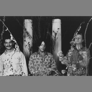 Hüsker Dü资料,Hüsker Dü最新歌曲,Hüsker DüMV视频,Hüsker Dü音乐专辑,Hüsker Dü好听的歌