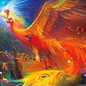 暮光森林资料,暮光森林最新歌曲,暮光森林MV视频,暮光森林音乐专辑,暮光森林好听的歌