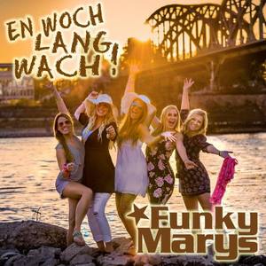 Funky Marys资料,Funky Marys最新歌曲,Funky MarysMV视频,Funky Marys音乐专辑,Funky Marys好听的歌