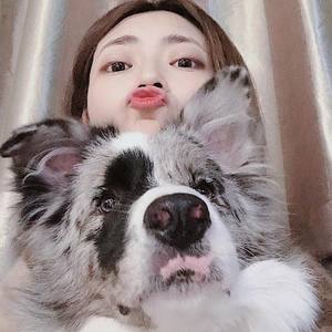 胡子猫资料,胡子猫最新歌曲,胡子猫MV视频,胡子猫音乐专辑,胡子猫好听的歌