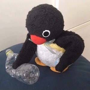 南资料,南最新歌曲,南MV视频,南音乐专辑,南好听的歌