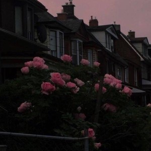 是小吴ya.资料,是小吴ya.最新歌曲,是小吴ya.MV视频,是小吴ya.音乐专辑,是小吴ya.好听的歌