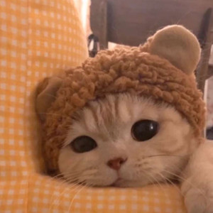 姜片资料,姜片最新歌曲,姜片MV视频,姜片音乐专辑,姜片好听的歌