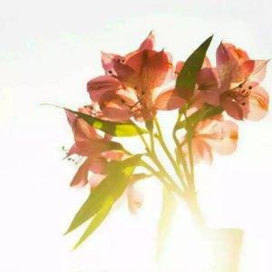 童言童语811资料,童言童语811最新歌曲,童言童语811MV视频,童言童语811音乐专辑,童言童语811好听的歌