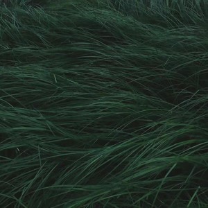 至岁资料,至岁最新歌曲,至岁MV视频,至岁音乐专辑,至岁好听的歌