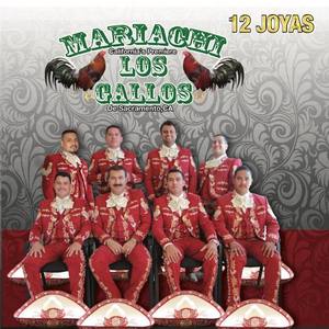 Mariachi Los Gallos