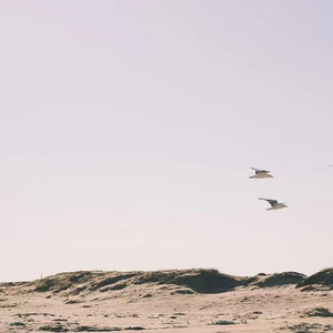 等神秘君资料,等神秘君最新歌曲,等神秘君MV视频,等神秘君音乐专辑,等神秘君好听的歌