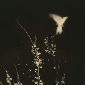 元宿资料,元宿最新歌曲,元宿MV视频,元宿音乐专辑,元宿好听的歌