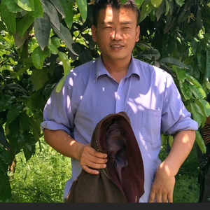 执痴资料,执痴最新歌曲,执痴MV视频,执痴音乐专辑,执痴好听的歌