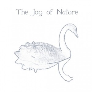 The Joy Of Nature