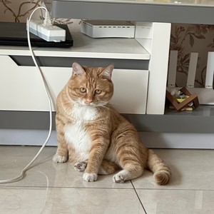 时宜资料,时宜最新歌曲,时宜MV视频,时宜音乐专辑,时宜好听的歌