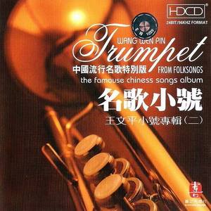 王文平资料,王文平最新歌曲,王文平MV视频,王文平音乐专辑,王文平好听的歌