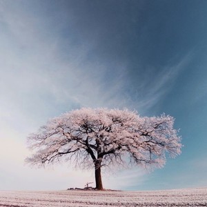 高波.资料,高波.最新歌曲,高波.MV视频,高波.音乐专辑,高波.好听的歌