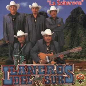 Llaneros Del Sur