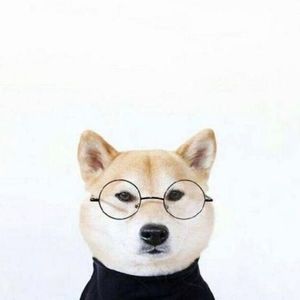 玩笑资料,玩笑最新歌曲,玩笑MV视频,玩笑音乐专辑,玩笑好听的歌