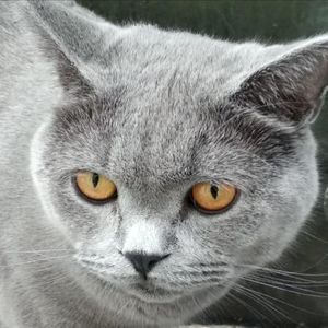 安河桥间奏 (吉他版间奏)