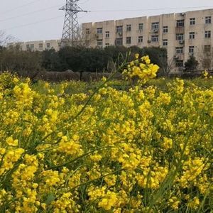 赵勇资料,赵勇最新歌曲,赵勇MV视频,赵勇音乐专辑,赵勇好听的歌