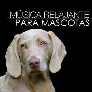 Música Relajante para Perros