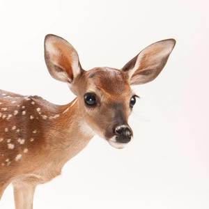 止扉资料,止扉最新歌曲,止扉MV视频,止扉音乐专辑,止扉好听的歌