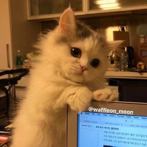 伏笔资料,伏笔最新歌曲,伏笔MV视频,伏笔音乐专辑,伏笔好听的歌