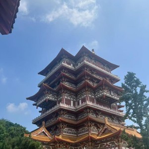 A树1999资料,A树1999最新歌曲,A树1999MV视频,A树1999音乐专辑,A树1999好听的歌