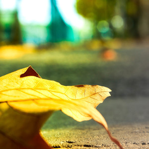 粉丝七号资料,粉丝七号最新歌曲,粉丝七号MV视频,粉丝七号音乐专辑,粉丝七号好听的歌