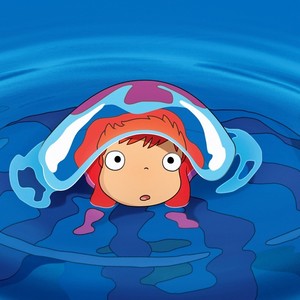 向波资料,向波最新歌曲,向波MV视频,向波音乐专辑,向波好听的歌