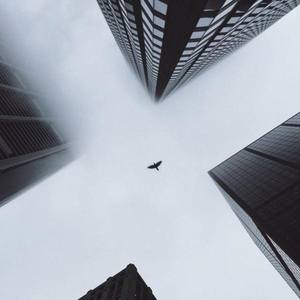 Genji_Ran资料,Genji_Ran最新歌曲,Genji_RanMV视频,Genji_Ran音乐专辑,Genji_Ran好听的歌
