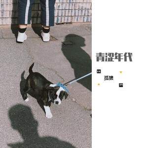 英雄相惜资料,英雄相惜最新歌曲,英雄相惜MV视频,英雄相惜音乐专辑,英雄相惜好听的歌