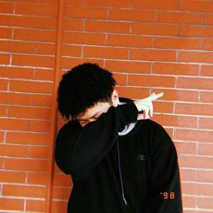 葬花 (东方project-bad apple ver.)